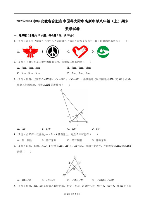 2023-2024学年安徽省合肥市中国科大附中高新中学八年级(上)期末数学试卷及答案解析