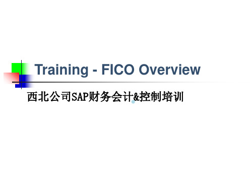 中航油西北公司SAP_FICO_Overview