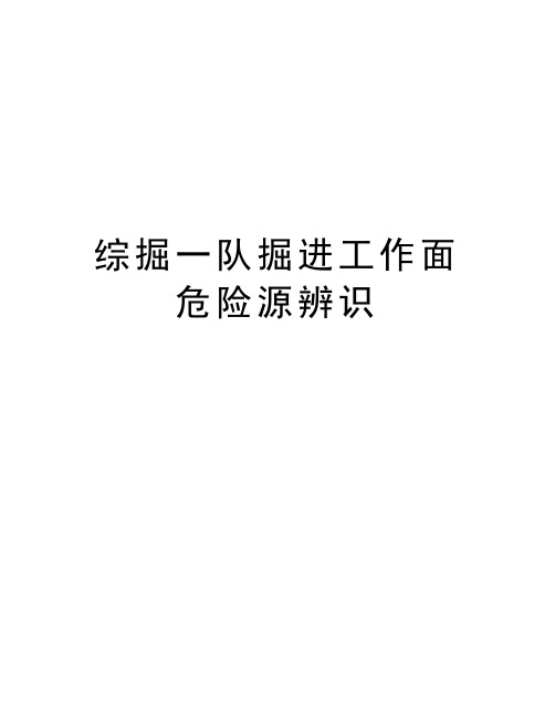 综掘一队掘进工作面危险源辨识复习过程