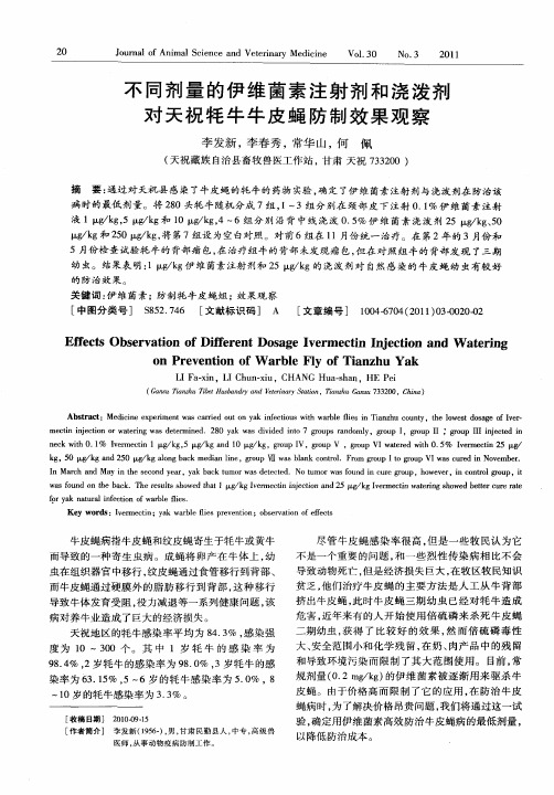 不同剂量的伊维菌素注射剂和浇泼剂对天祝牦牛牛皮蝇防制效果观察