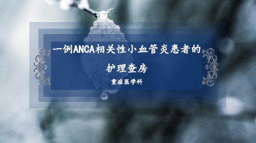 ANCA相关性血管炎患者的护理查房