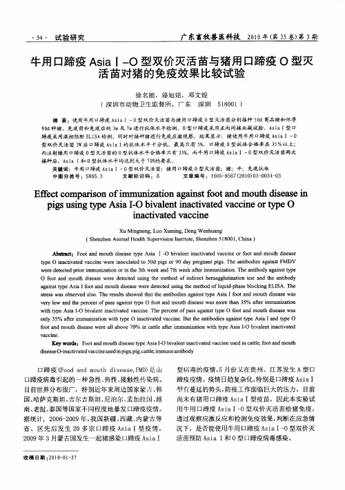 牛用口蹄疫AsiaI—O型双价灭活苗与猪用口蹄疫O型灭活苗对猪的免疫效果比较试验