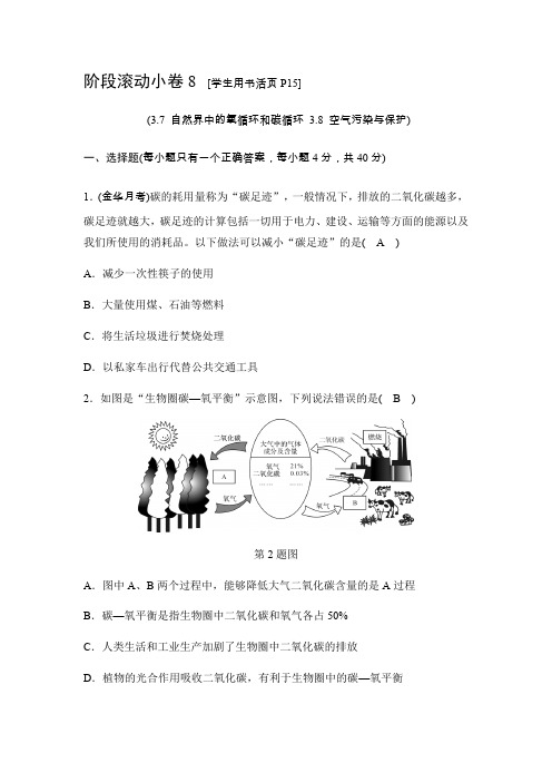 2020春浙教版科学八下：阶段滚动小卷8(3.7-3.8 )(含答案)