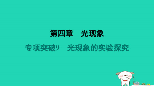 八年级物理上册第四章光现象专项突破9光现象的实验探究习题新版新人教版