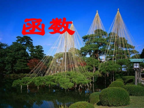 《函数》数学PPT课件(8篇)