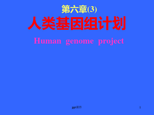 人类基因组计划  ppt课件