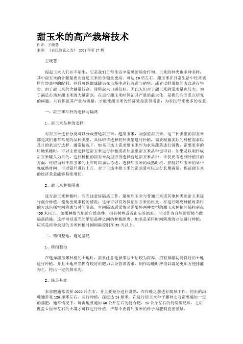 甜玉米的高产栽培技术