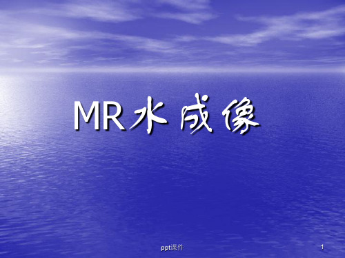 MR水成像  ppt课件