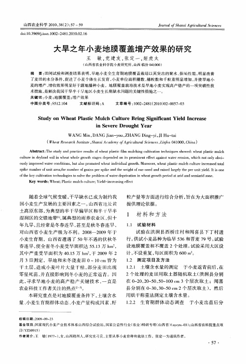 大旱之年小麦地膜覆盖增产效果的研究