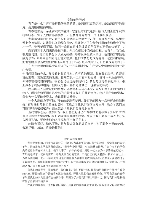 我的青春我的梦征文十二篇