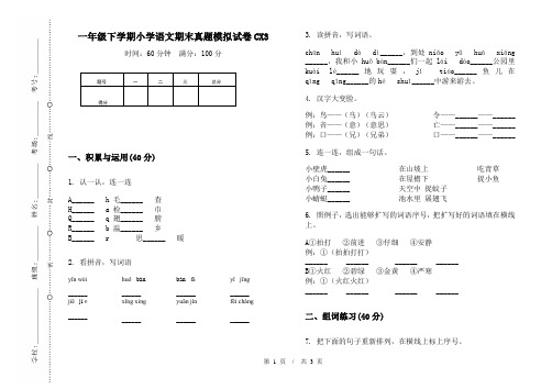 一年级下学期小学语文期末真题模拟试卷CX3