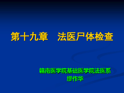 法医病理学-19-法医尸体检查