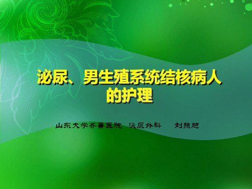 泌尿、男生殖系统结核病人的护理