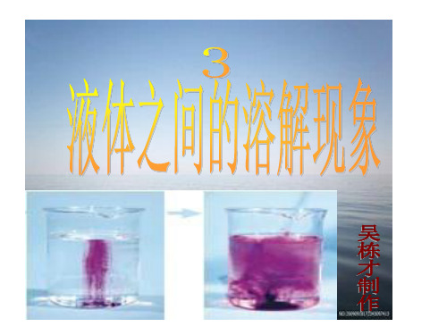 教科版四年级上册科学《液体之间的溶解现象》课件