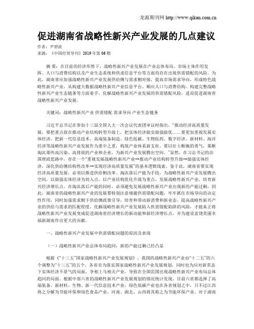 促进湖南省战略性新兴产业发展的几点建议