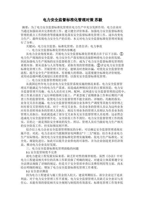 电力安全监督标准化管理对策 苏毅