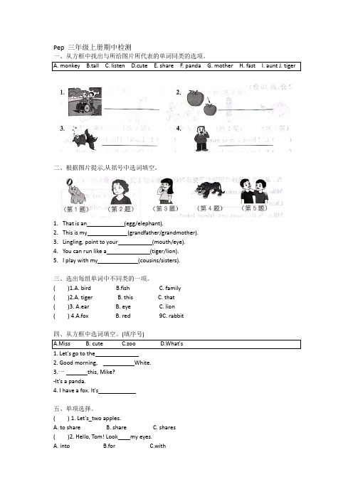 期中 (试题) -2024-2025学年人教PEP版(2024)英语三年级上册