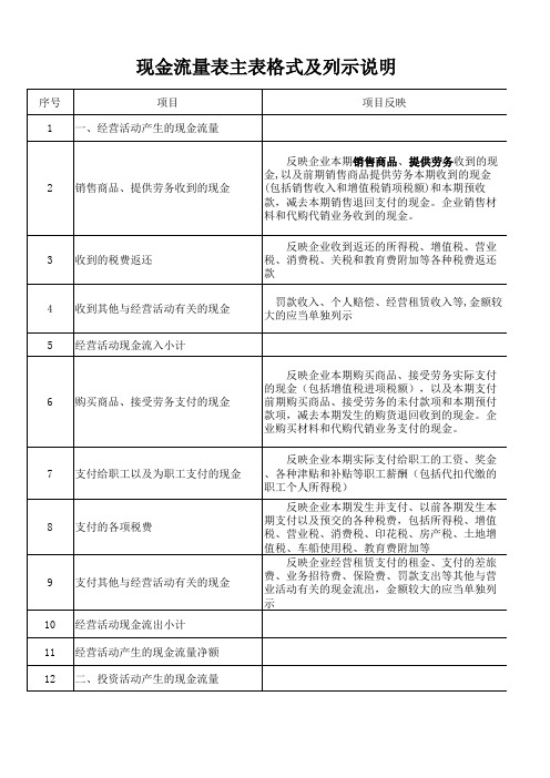 现金流量表编制说明表