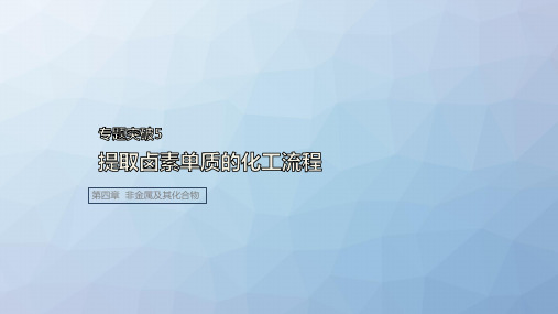 高三化学一轮复习精品课件：专题突破5  提取卤素单质的化工流程