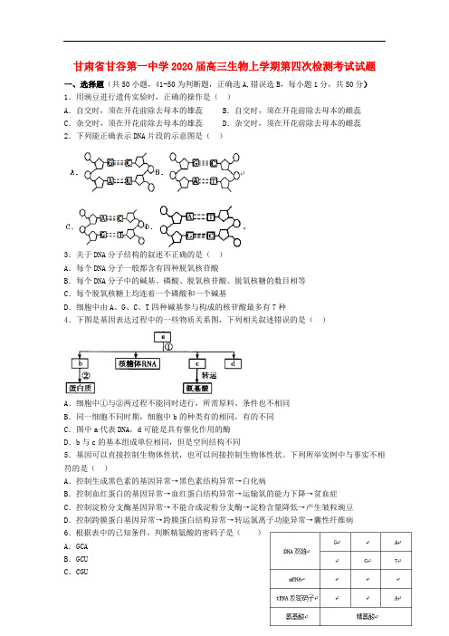 甘肃省甘谷第一中学2020届高三生物上学期第四次检测考试试题