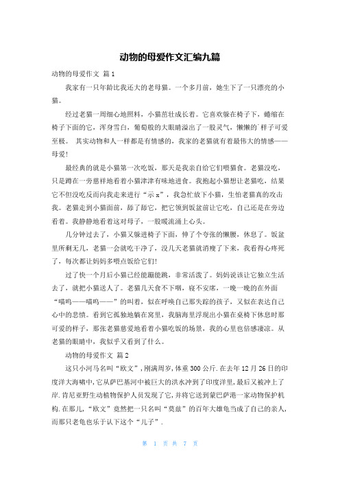 动物的母爱作文汇编九篇