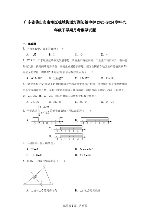 广东省佛山市南海区桂城街道灯湖初级中学2023-2024学年九年级下学期月考数学试题