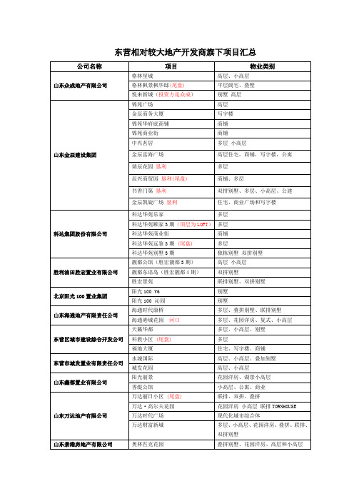 东营相对较大地产开发商旗下项目汇总