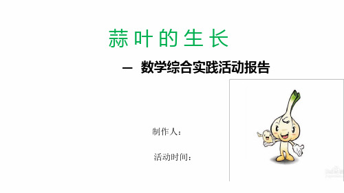 蒜叶的生长(数学实践活动).ppt