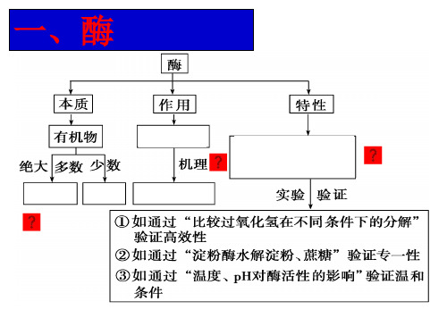 细胞的能量供应与利用酶与APPT课件