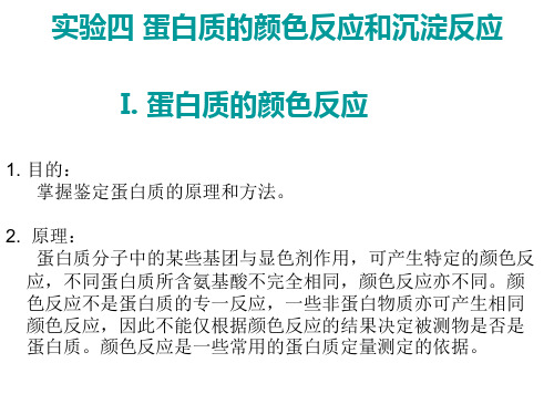 实验4蛋白质的颜色反应和沉淀反应