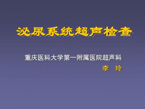 泌尿系统超声检查