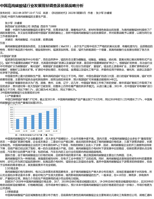 中国高纯碳酸锰行业发展现状调查及前景战略分析