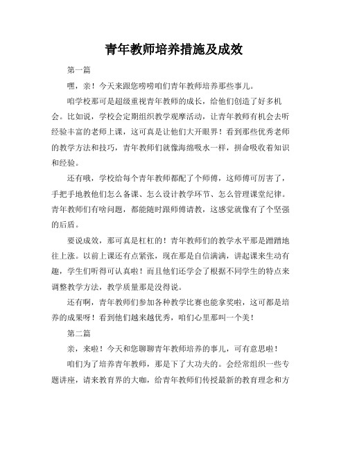 青年教师培养措施及成效