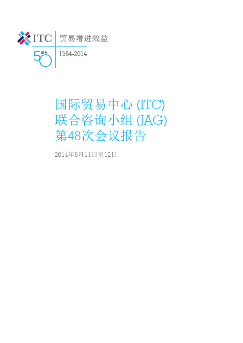 联合咨询小组(JAG)