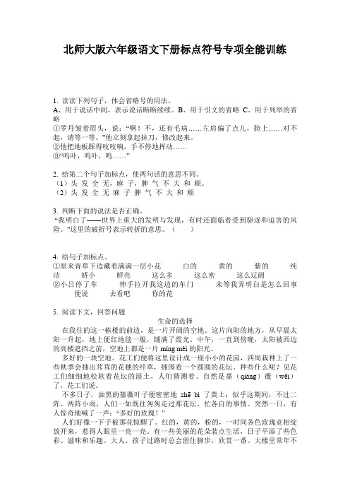 北师大版六年级语文下册标点符号专项全能训练