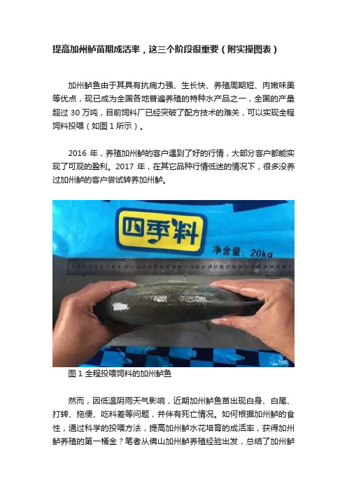 提高加州鲈苗期成活率，这三个阶段很重要（附实操图表）