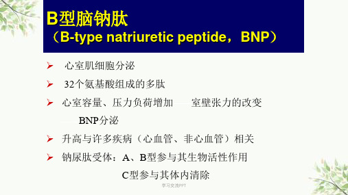 N-端脑利钠肽课件