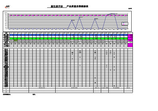TOP质量改善跟踪表