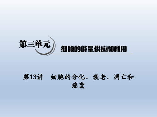 2020《高考生物》一轮复习课件第13讲 细胞的分化、衰老、凋亡和癌变