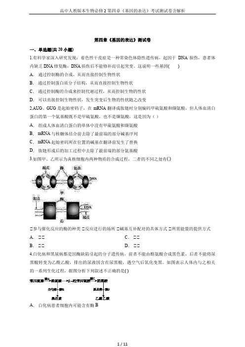 高中人教版本生物必修2第四章《基因的表达》考试测试卷含解析