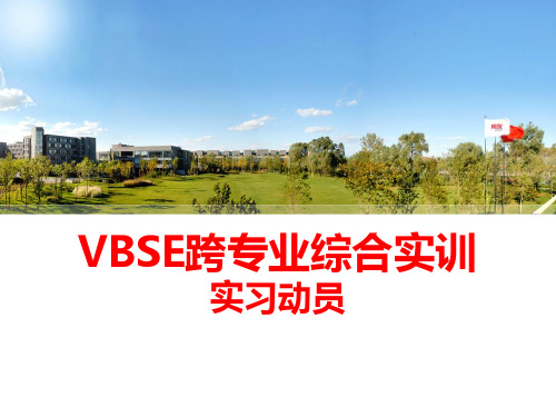 VBSE跨综合专业实训平台