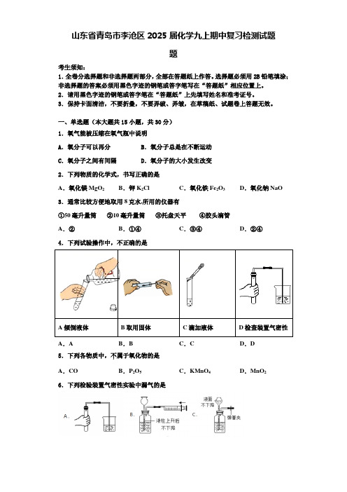 山东省青岛市李沧区2025届化学九上期中复习检测试题含解析