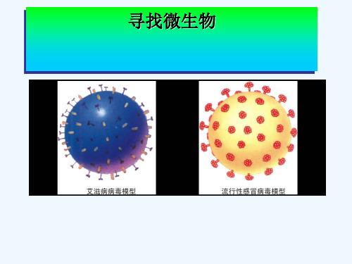 2016春五年级科学下册 5.1《寻找微生物》课件2 大象版