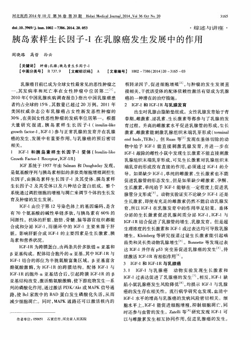 胰岛素样生长因子-1在乳腺癌发生发展中的作用
