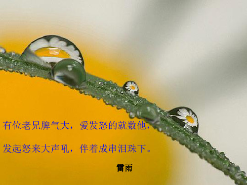 做课用人教版小学语文二年级《雷雨》PPT课件