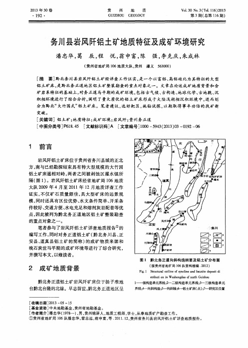 务川县岩风阡铝土矿地质特征及成矿环境研究