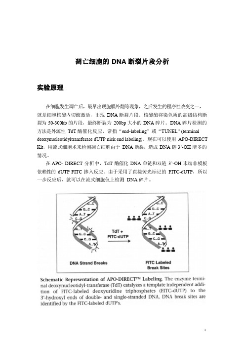 流式细胞仪检测细胞凋亡操作流程 - 凋亡细胞的 DNA 断裂片段分析