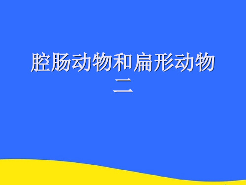 【优选】腔肠动物和扁形动物二PPT资料