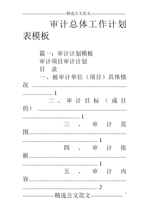 审计总体工作计划表模板