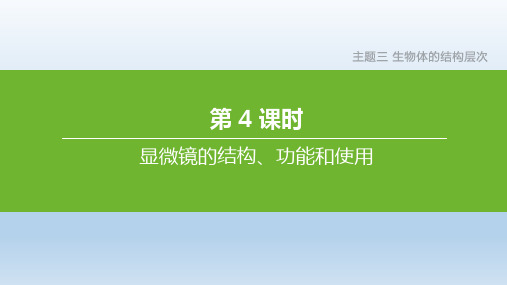 北京专版2020中考生物复习主题3生物体的结构层次